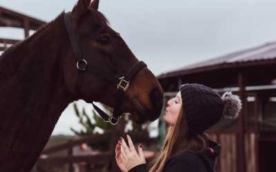 Konna sesja fotograficzna